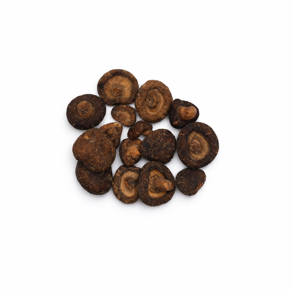 Wild Dried Mushrooms
